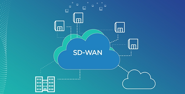 Software Defined-WAN